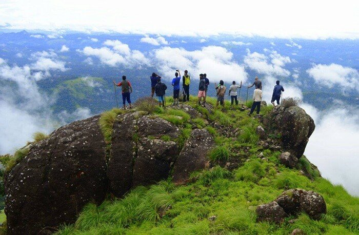 Lush green tea plantations of Munnar
